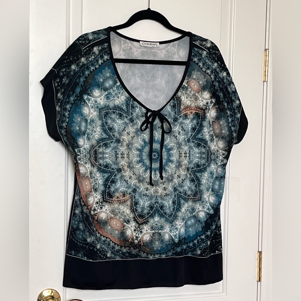 Claudia Richard 2xl v neck blouse blue boho print